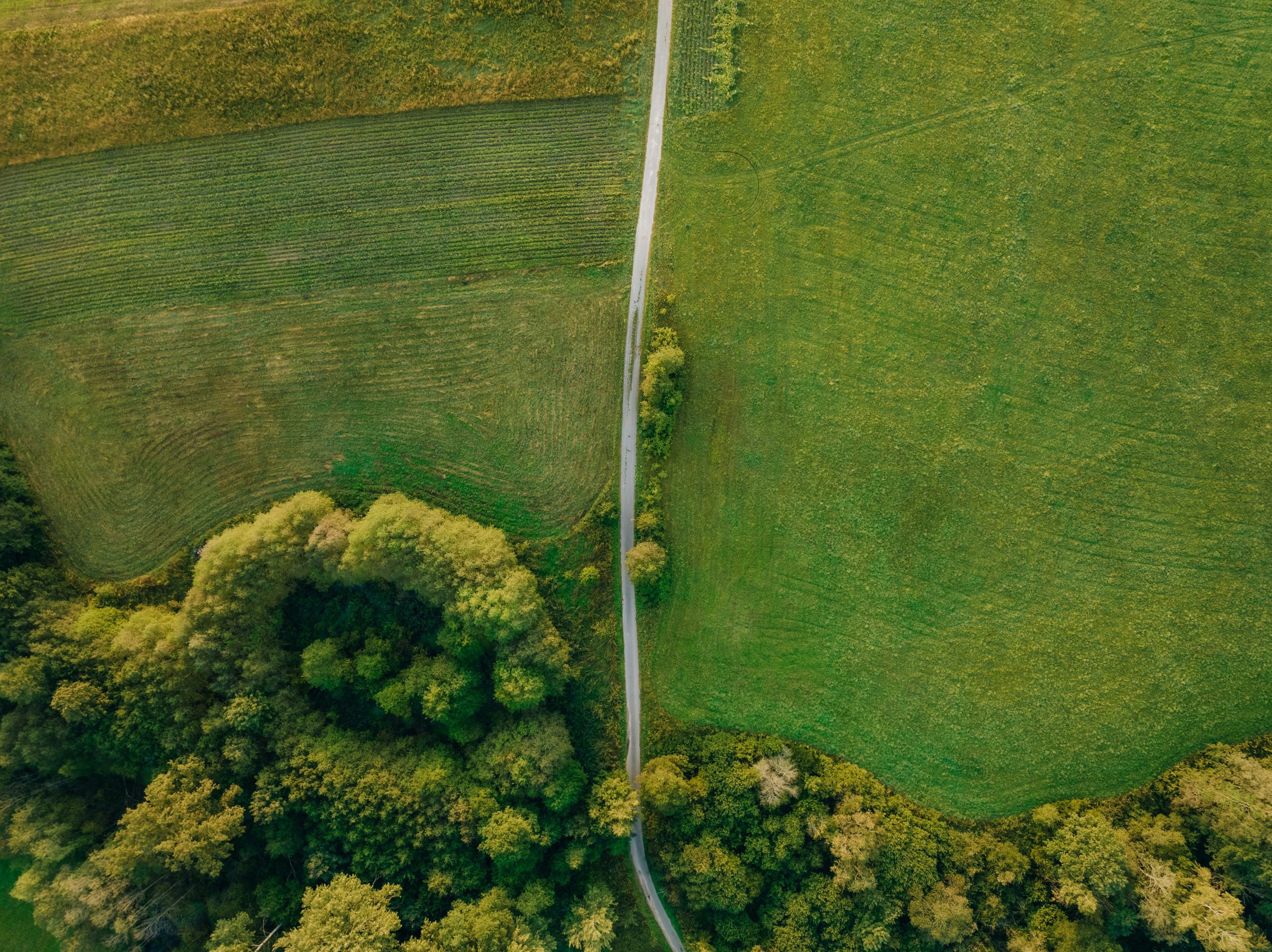 unsplash-community--EaOGxkKHLA-unsplash